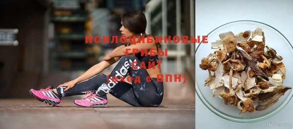 прущая мука Абаза