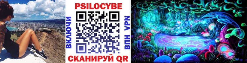 OMG tor  Карасук  Галлюциногенные грибы прущие грибы 